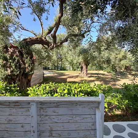 Hotel Orama Thassos