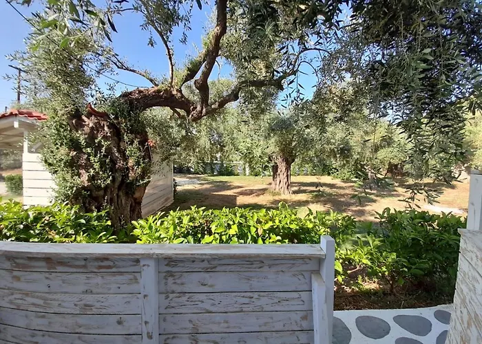 Hotel Orama Thassos