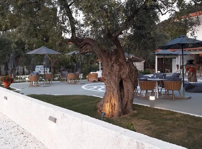 Orama Thassos Hotel